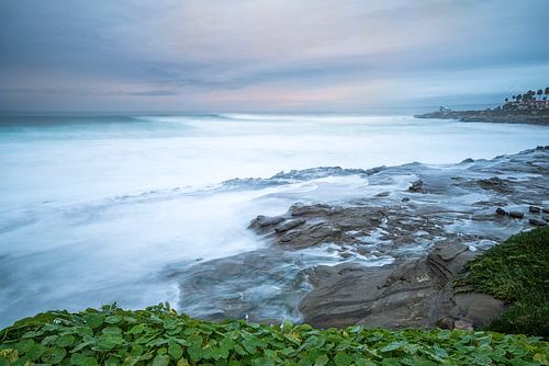 Misty Reef - La Jolla, Californië