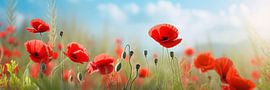 Mohnblumenpanorama von ARTemberaubend