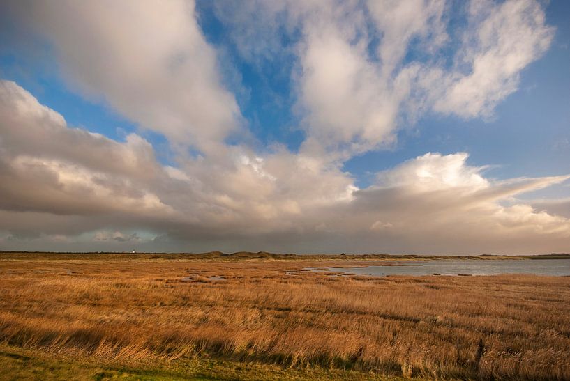 Mokbaai op Texel by Margreet Frowijn