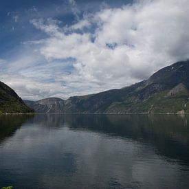 fjord Noorwegen van Geert Groot