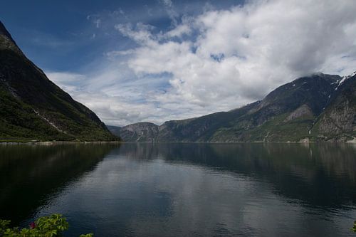 fjord Noorwegen