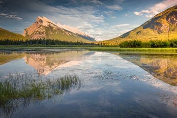 Vermillion lakes in het Banff N.P.