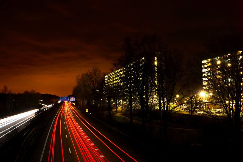 Driving home van Ilja Kalle