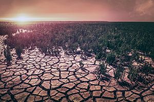 Bezaubernde Landschaft bei Sonnenuntergang: Eine Ode an die Schönheit der Natur
