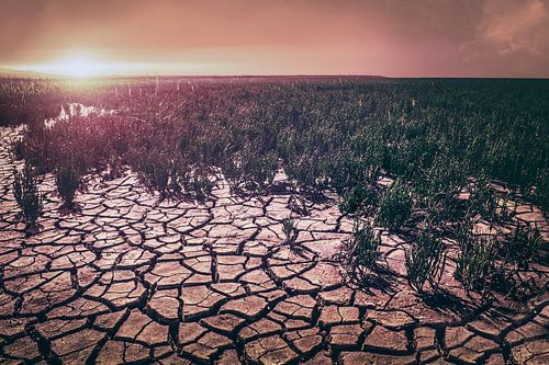 Betoverend Landschap bij Zonsondergang: Een Ode aan Natuurlijke Schoonheid
