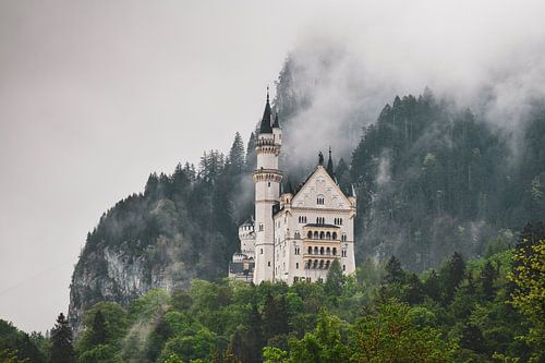 Kasteel Neuschwanstein in Schwangau Beieren