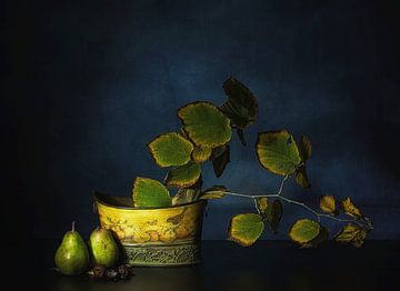 The beauty of decay. by Saskia Dingemans Awarded Photographer