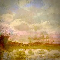 ECHOES OF THE HORIZON
