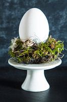 Weiße Eier in einem Nest diente auf Etagere