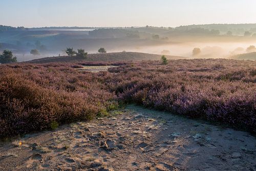 Sunrise at Posbank, Rheden