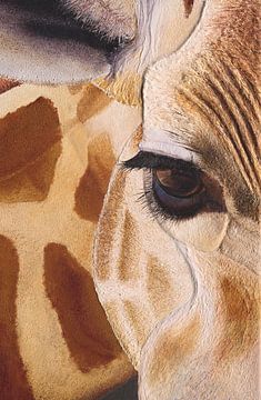 Giraf detail schilderij van Russell Hinckley