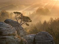 Sonnenaufgang in der Sächsischen Schweiz