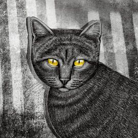 Amber Eyed Cat von Marja van den Hurk