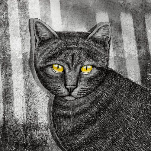 Amber Eyed Cat