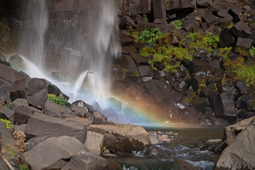 Svartifoss-Wasserfall Island von Menno Schaefer