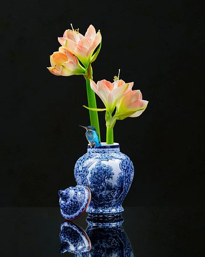 Stilleben Amaryllis X