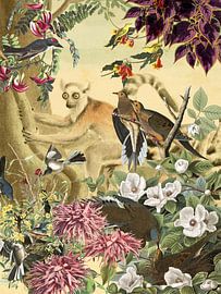 Ringelschwanz-Lemur hinter Vögeln und Blumen