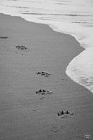 Fußabdrücke am Strand