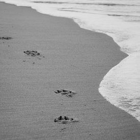 Fußabdrücke am Strand von Photo Julleke