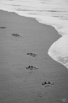 Pootafdrukken aan het strand van Photo Julleke