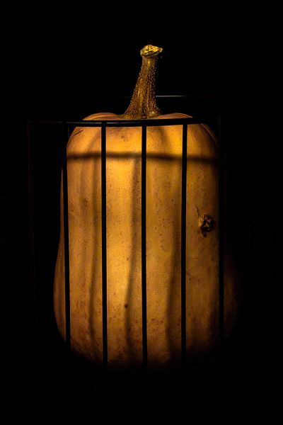 Citrouille en prison par Nancy Bogaert