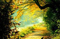 Herbst