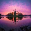 Spring 1 (Seismolen Middelburg) by Thom Brouwer