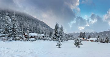 Besneeuwde bomen in het Landwassertal, Davos, Graubünden, Zwitserland van Rene van der Meer