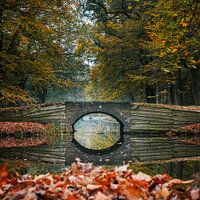 Reflection of a bridge in autumn
