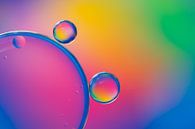 Druppels |  Regenboog kleuren van Marianne Twijnstra thumbnail