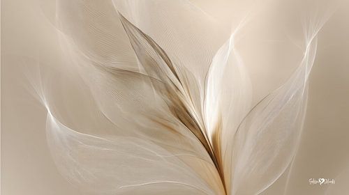 white and gold - flowers and feathers