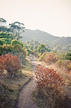 Wandelroute in Corsica