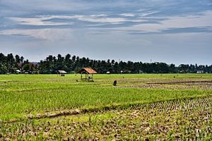 Indonesische Agrarlandschaft unter strahlendem Wolkenhimmel