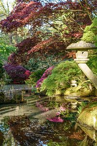 Der Japanische Garten von Clingendael Estate.