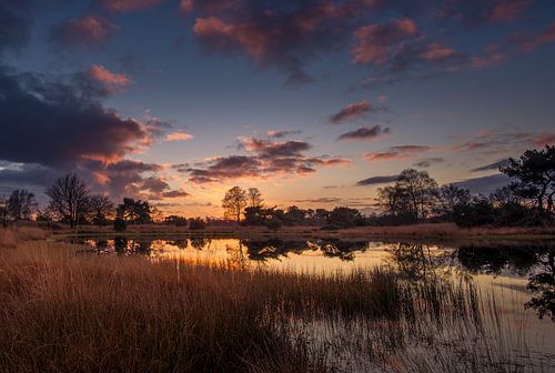Sonnenuntergang in der Kampina
