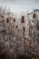 Vormittag am Ende des Sommers