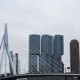 Skyline von Rotterdam von Michael Jansen