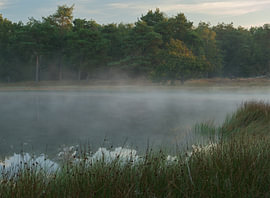 Lever du soleil à Dwingelderveld (Pays-Bas)