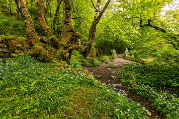 Schottland, Fairy Bridge von Edwin Kooren