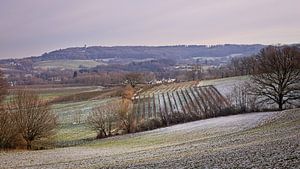 Dreieck