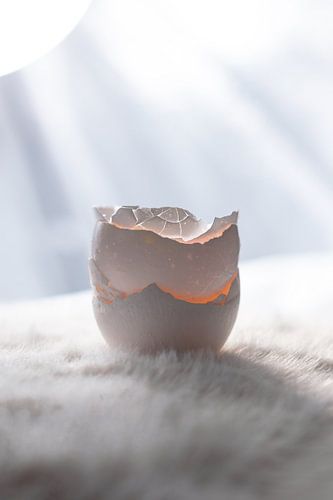 Fragments of Becoming