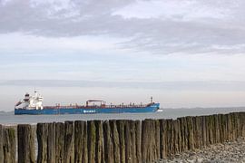 Bateau sur Caithlin Schoremans