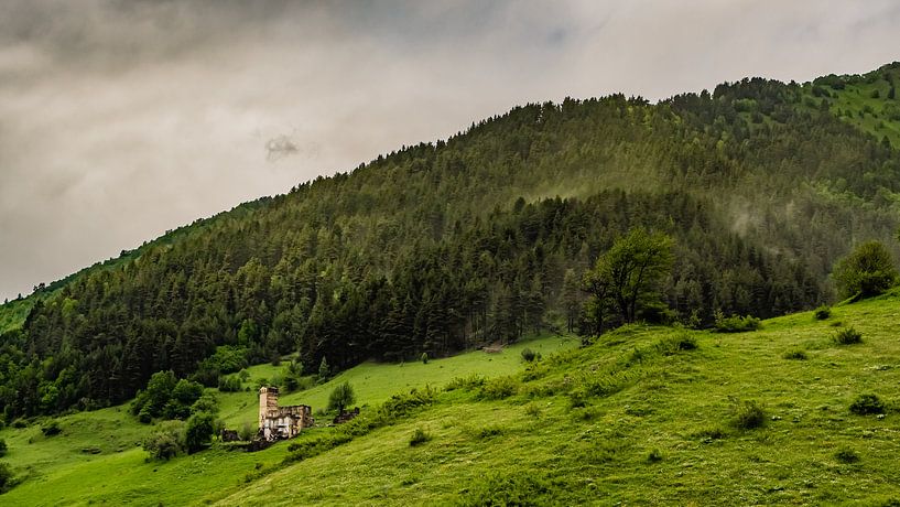 Brouillard dans les arbres par Stijn Cleynhens