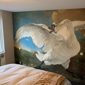 Customer photo: The endangered swan, Jan Asselijn, as wallpaper