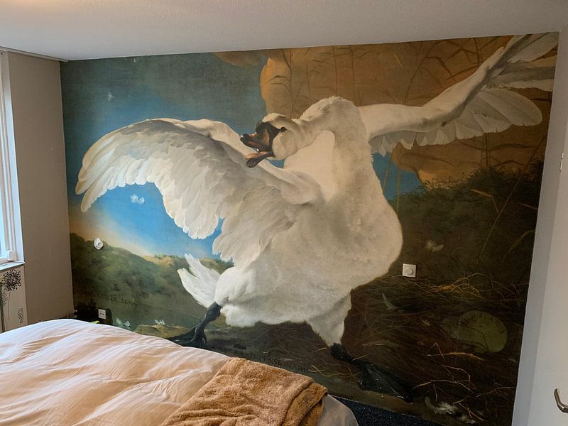 De bedreigde zwaan, Jan Asselijn op canvas, behang, poster en meer