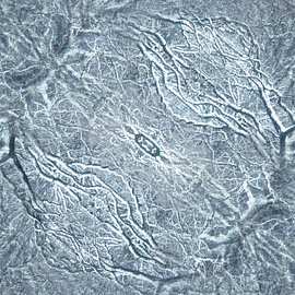 Chasse au trésor hivernale sur LANETfotografie