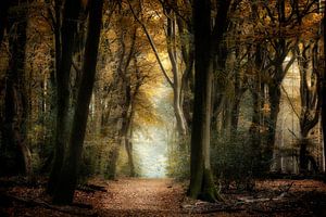 In The Woods van Kees van Dongen