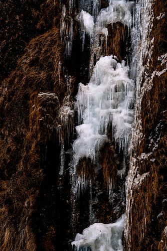 Bevroren Cascade IJsformaties in de Wildernis