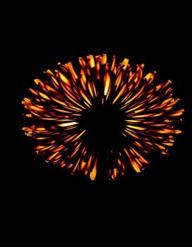 « Ember Allium XII »