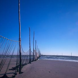 Texel Fischernetz am Strand  von Natuurlijk schoon